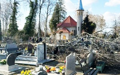 Wiatr wyrwał drzewo, które zniszczyło kilkanaście grobów na cmentarzu w Nowogardzie
